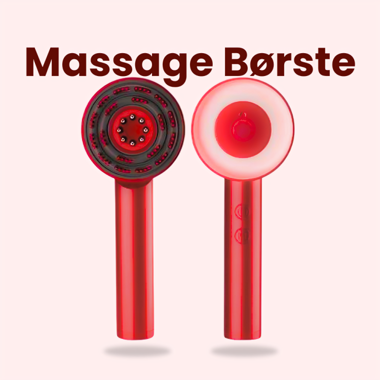 Scandinavian Massage Børste©